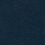 Marine | Neptune