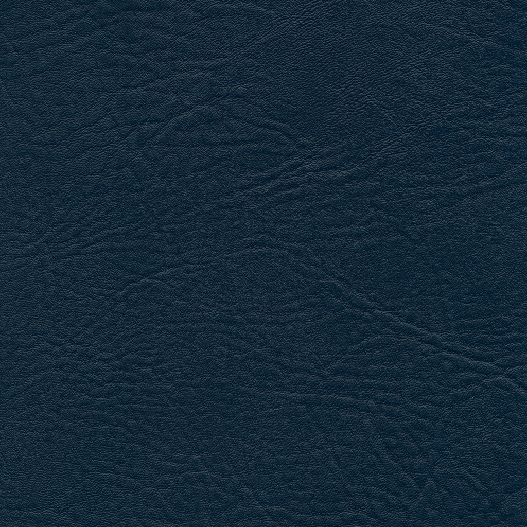 Marine | Neptune