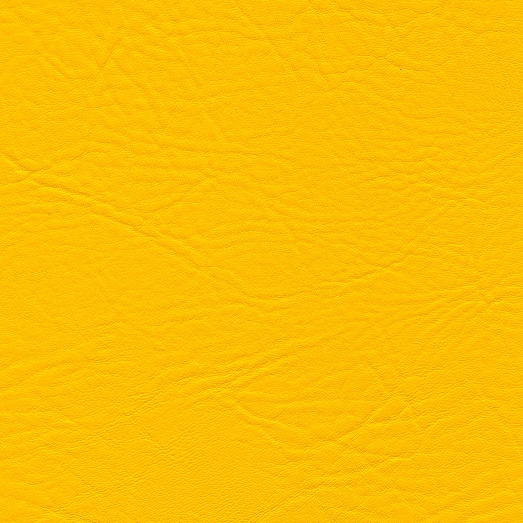 Jaune | Neptune