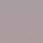 Taupe | Neptune