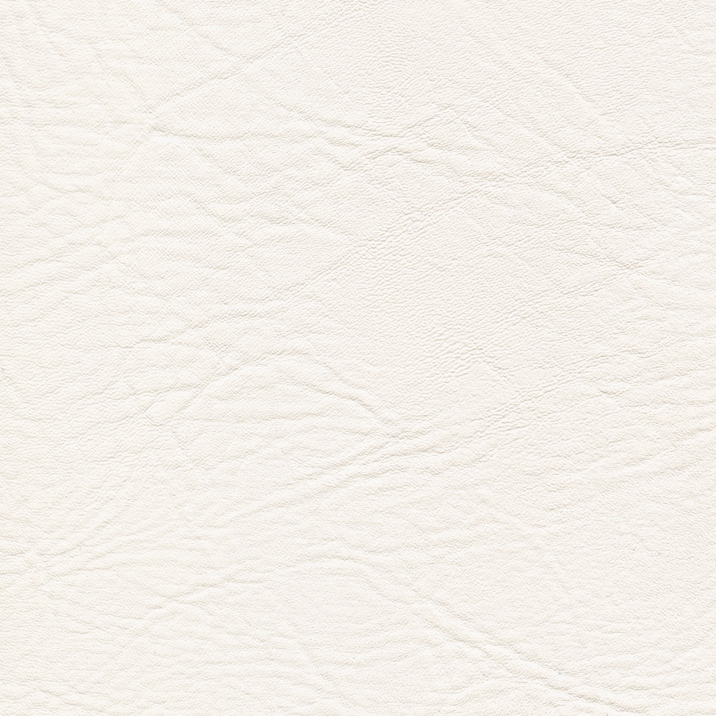 Blanc | Neptune