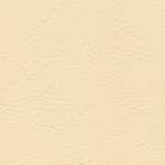 Beige | Neptune