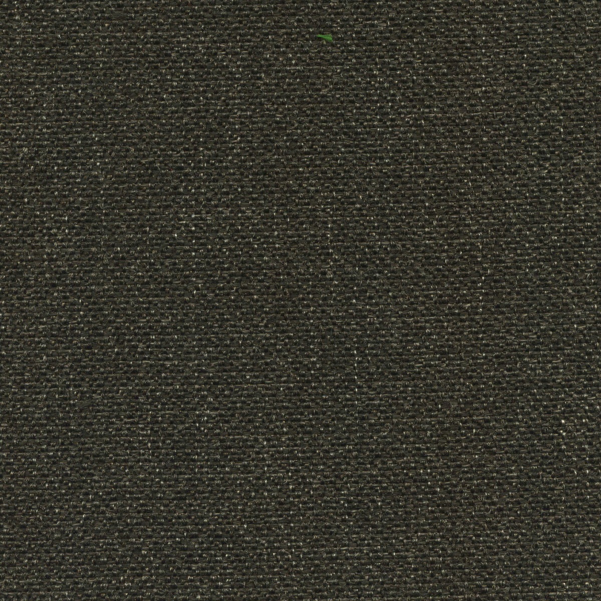 1604