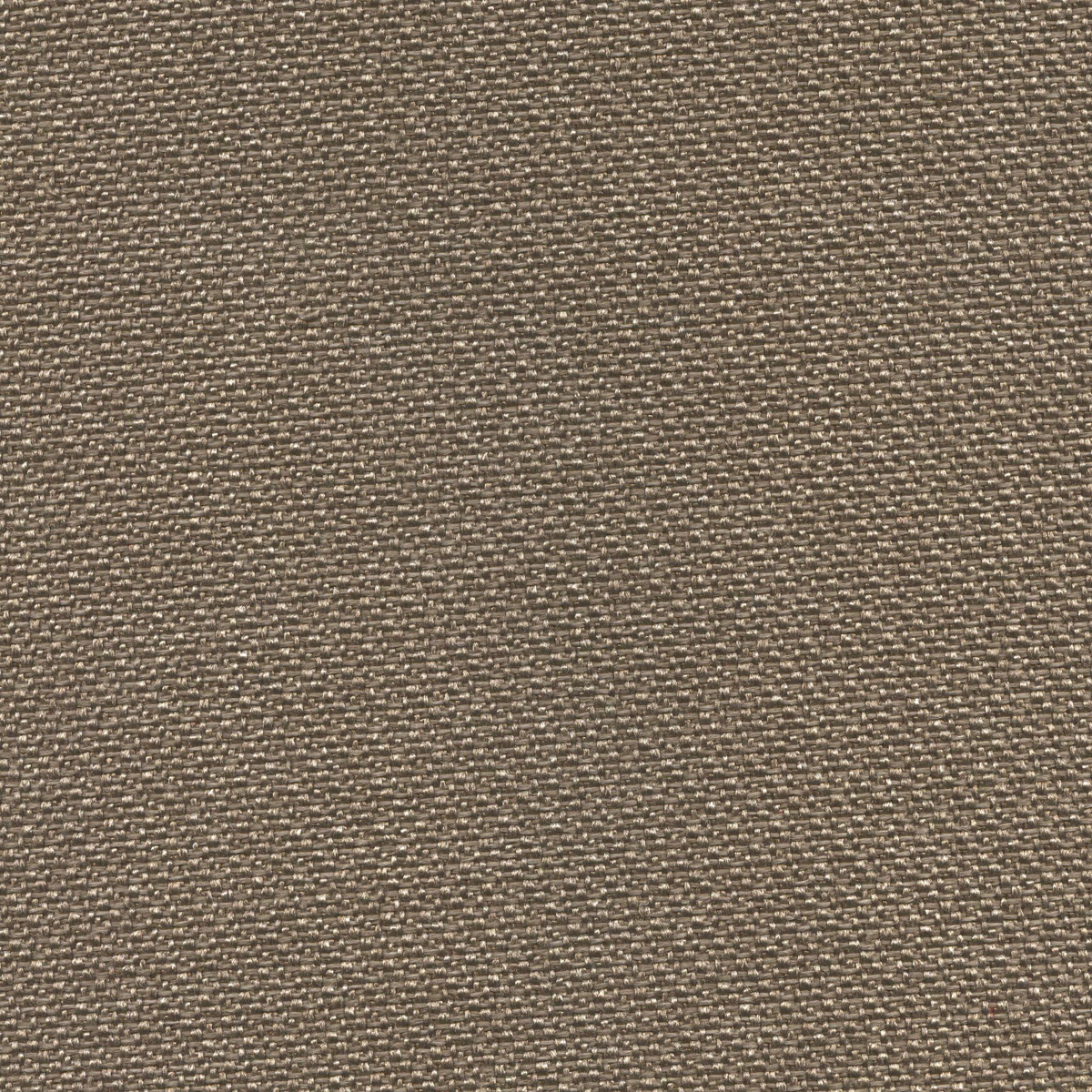 601 | Venere