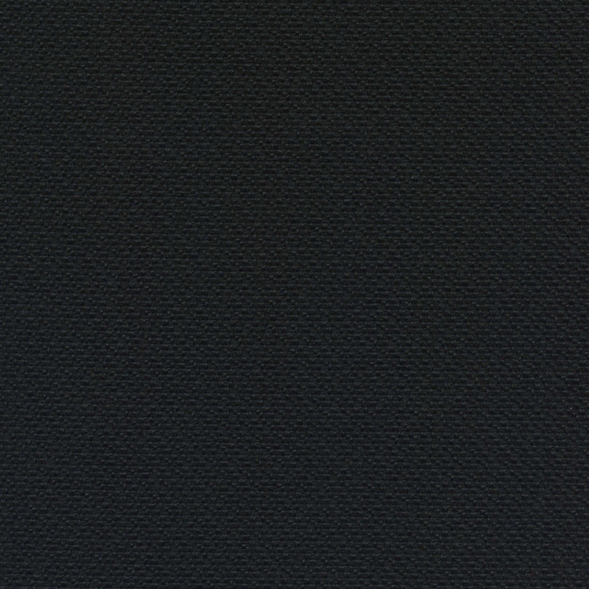 651 | Venere