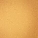 S013 | Nappa