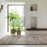 03.01.910 | Rectangular & Square Rugs