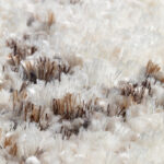 03.14.106 | Rectangular & Square Rugs