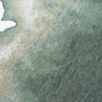 Palm Green | Rectangular & Square Rugs