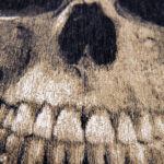 Funny Bones | Rectangular & Square Rugs