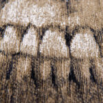 Funny Bones | Rectangular & Square Rugs