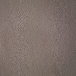 S453 | Nappa