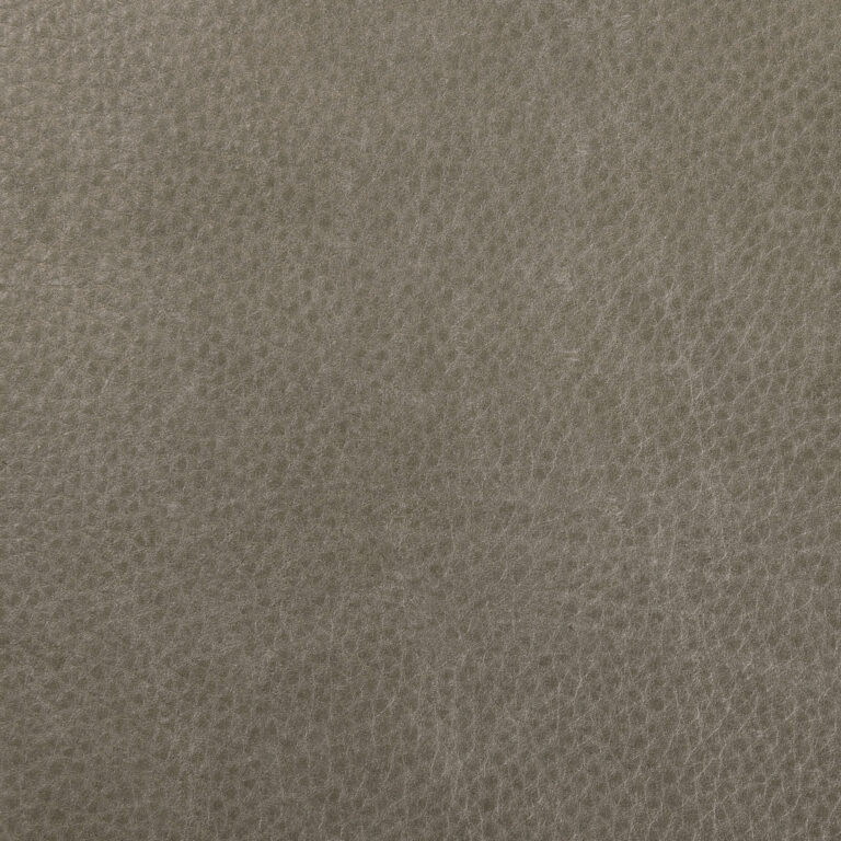 Tundra