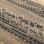 65.425.490 | Rectangular & Square Rugs