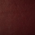 93 | Aniline