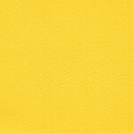 Forsythia 606 | Akropol