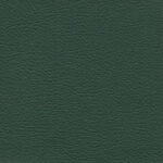 Forest 611 | Akropol