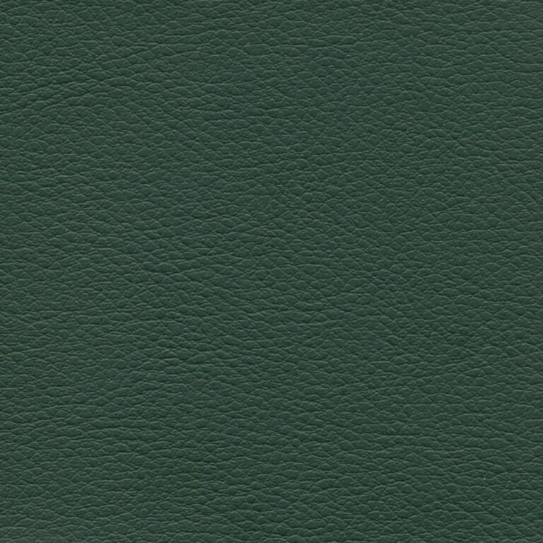 Forest 611