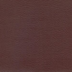 Aubergine 927 | Akropol