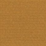 Spruce Yellow 11 | Alba