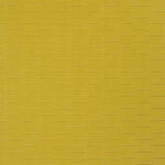 Gold Y153 | Alcantara Amonite