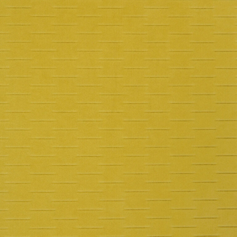 Alcantara Amonite