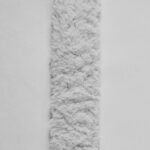 Ice 1042 | Alcantara Anemone