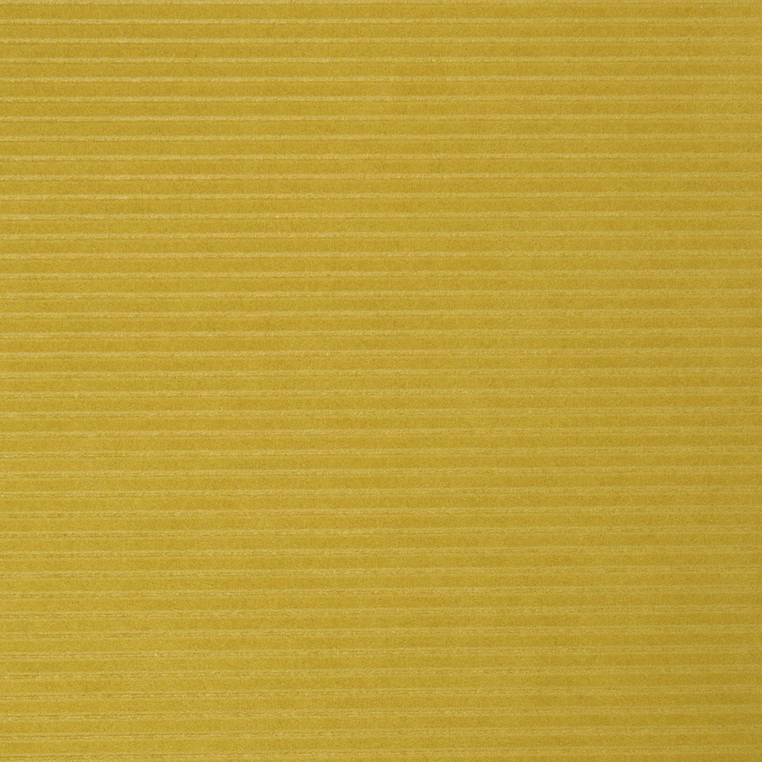 Gold 1153 | Alcantara Colorado Ficus