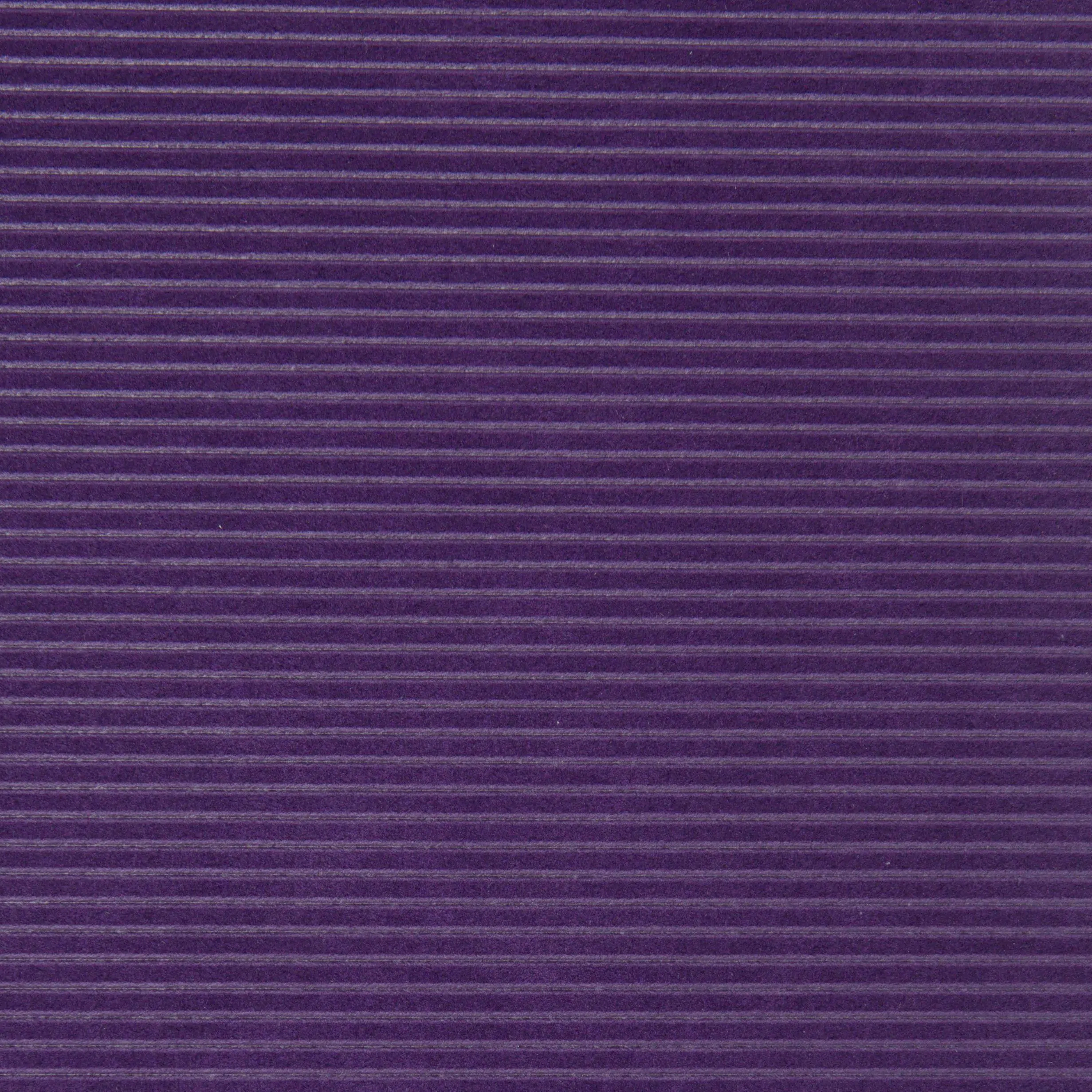 Violet 6601 | Alcantara Colorado Ficus