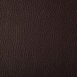 Aubergine | Semi-Aniline