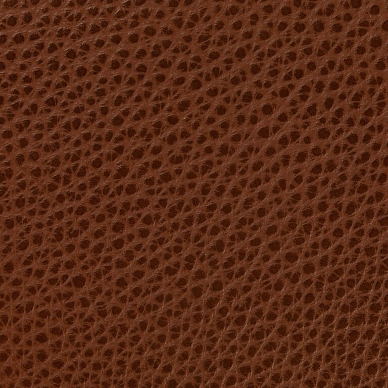 SA001