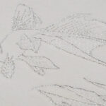 Eggshell 1001 | Alcantara Naiad