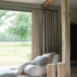 Chestnut 01 | Andrea