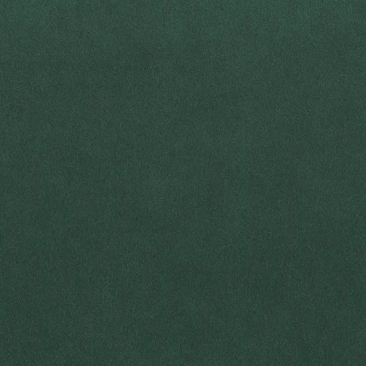Lichen 6405 | Alcantara Multilayer