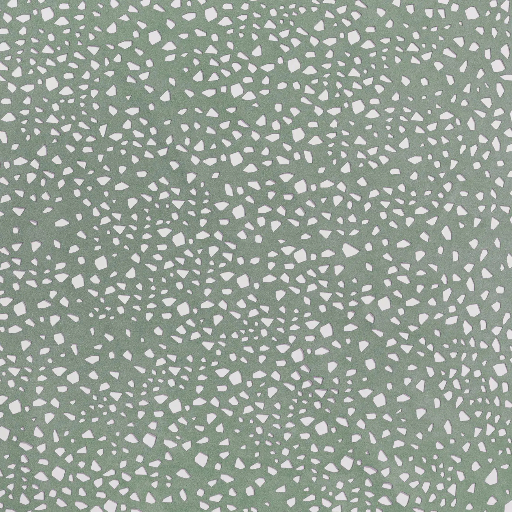Almond 2161 | Alcantara Vaalbara