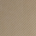 Dune 1254 | Alchimia Eumaeus