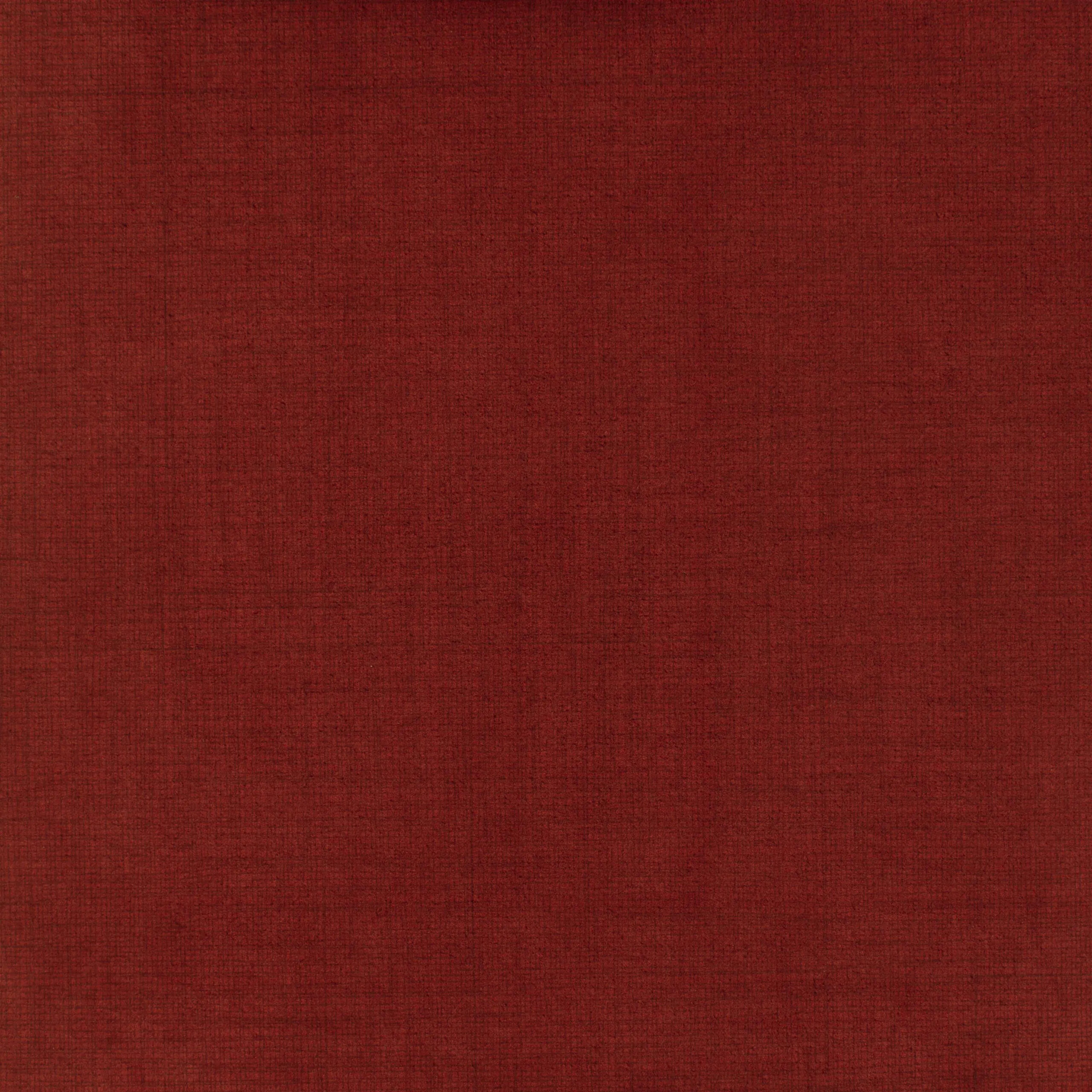 Amaretto 3335 | Alchimia Hippocampus