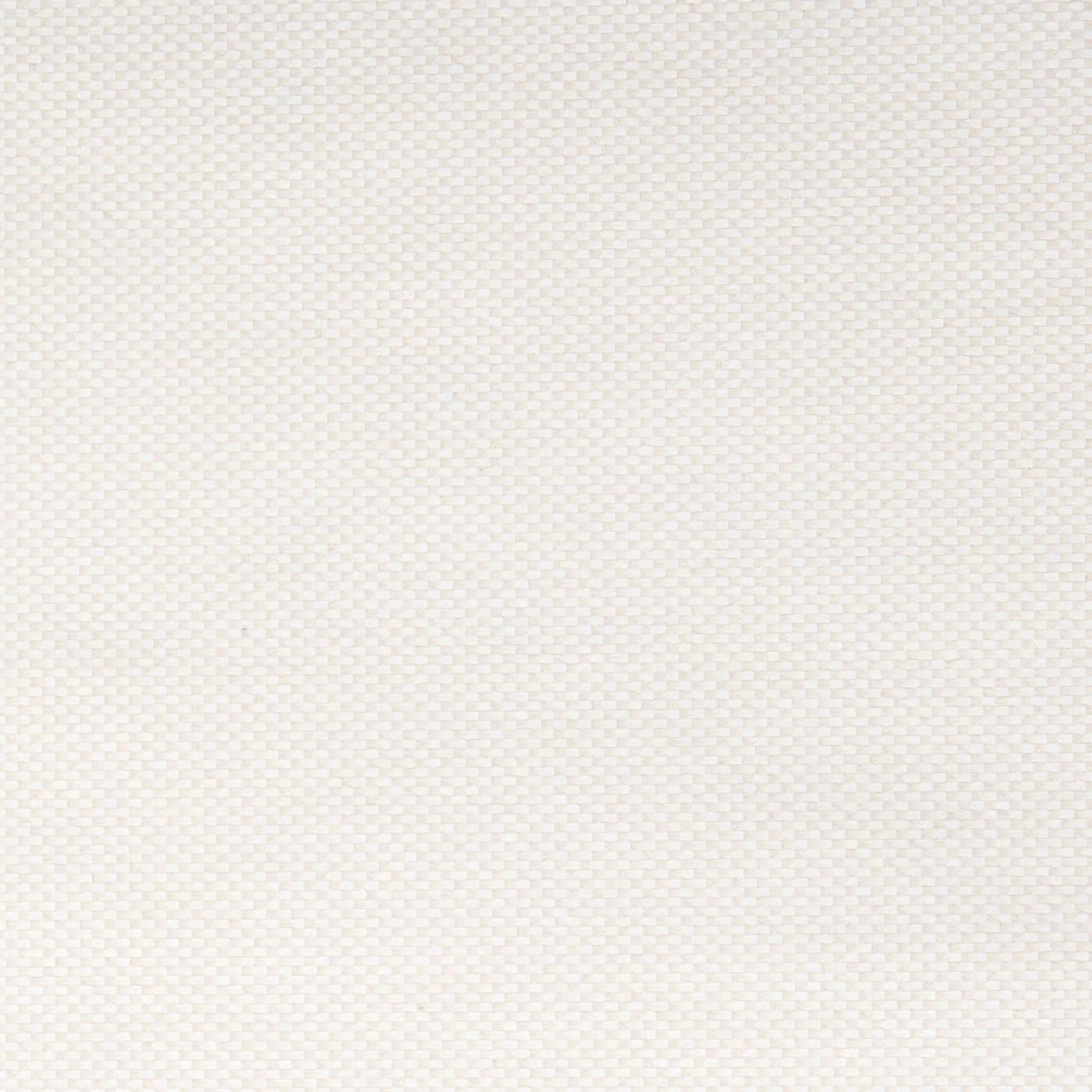 Eggshell 1001 | Alchimia Rutilus