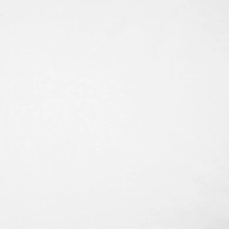 Snow 013 | Antarctica
