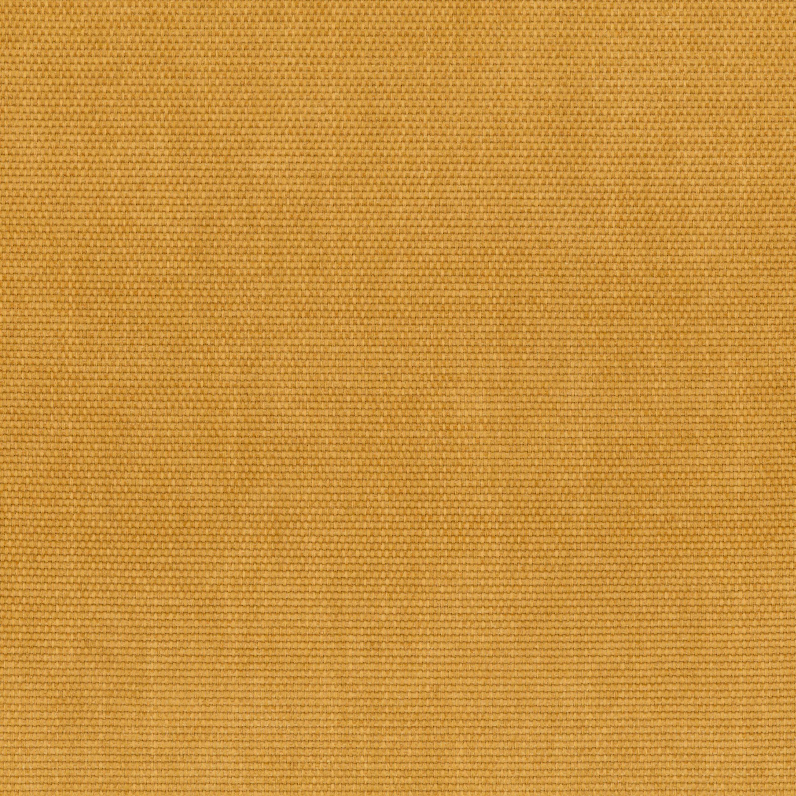 Honey Gold 10 | Antorno