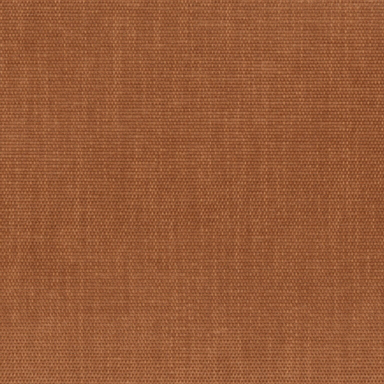 Mocha Bisque 11