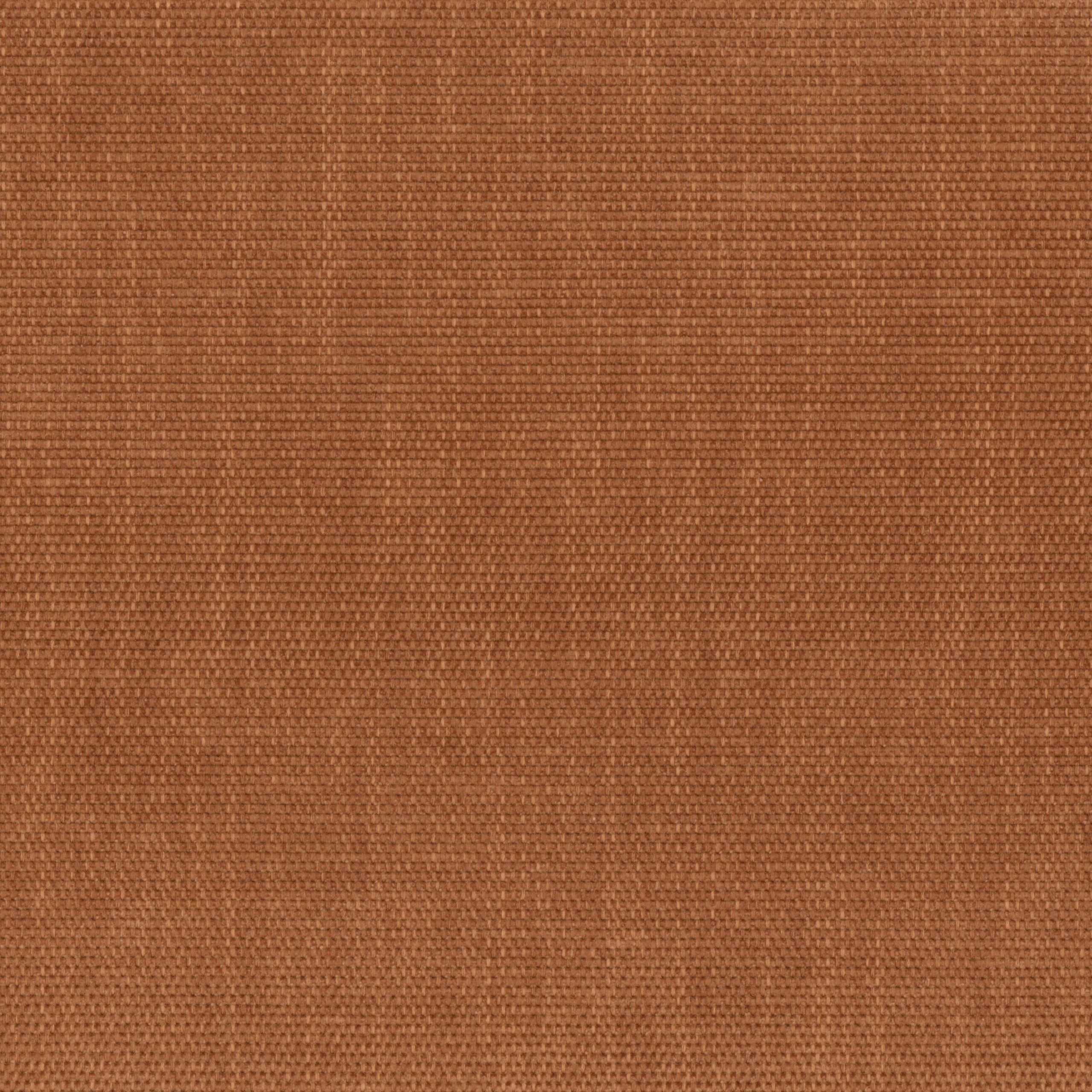 Mocha Bisque 11 | Antorno