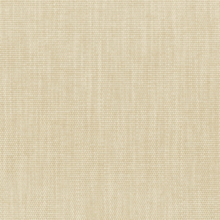 Ancient Scroll 12
