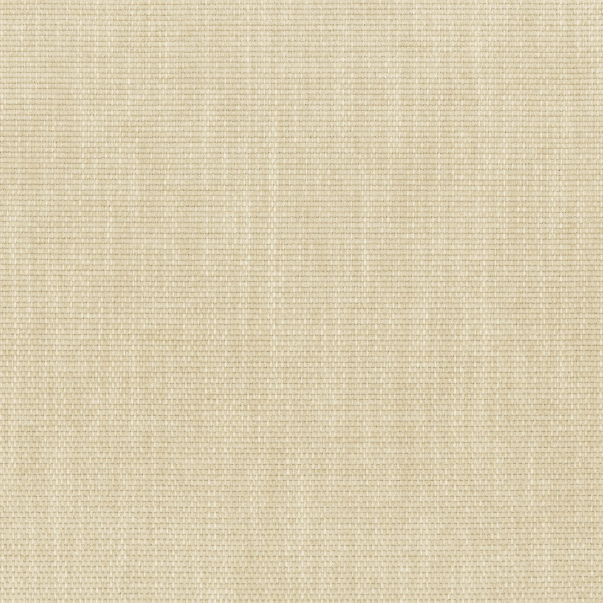 Ancient Scroll 12 | Antorno