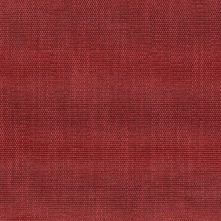 Red Dahlia 16