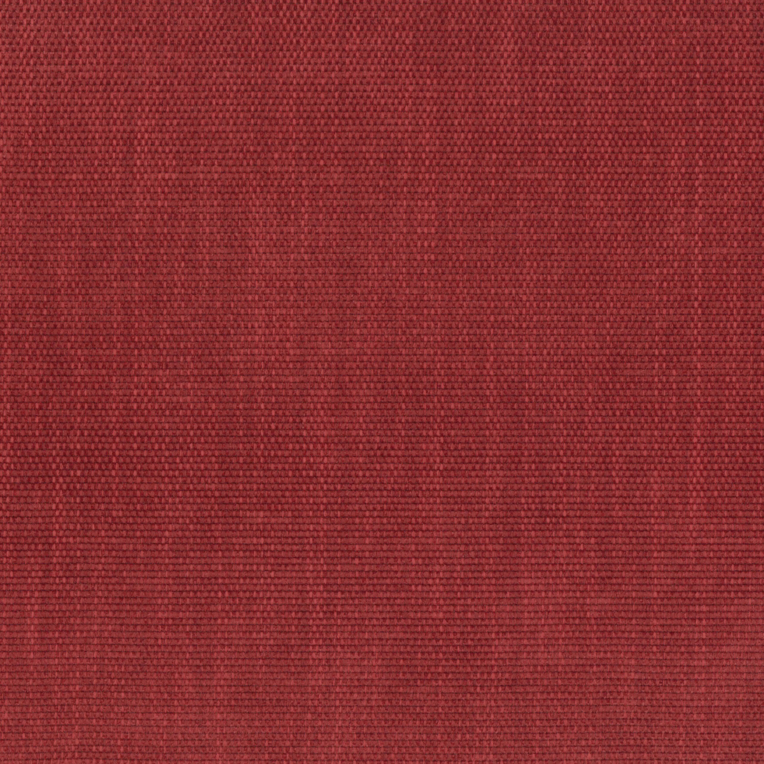 Red Dahlia 16 | Antorno