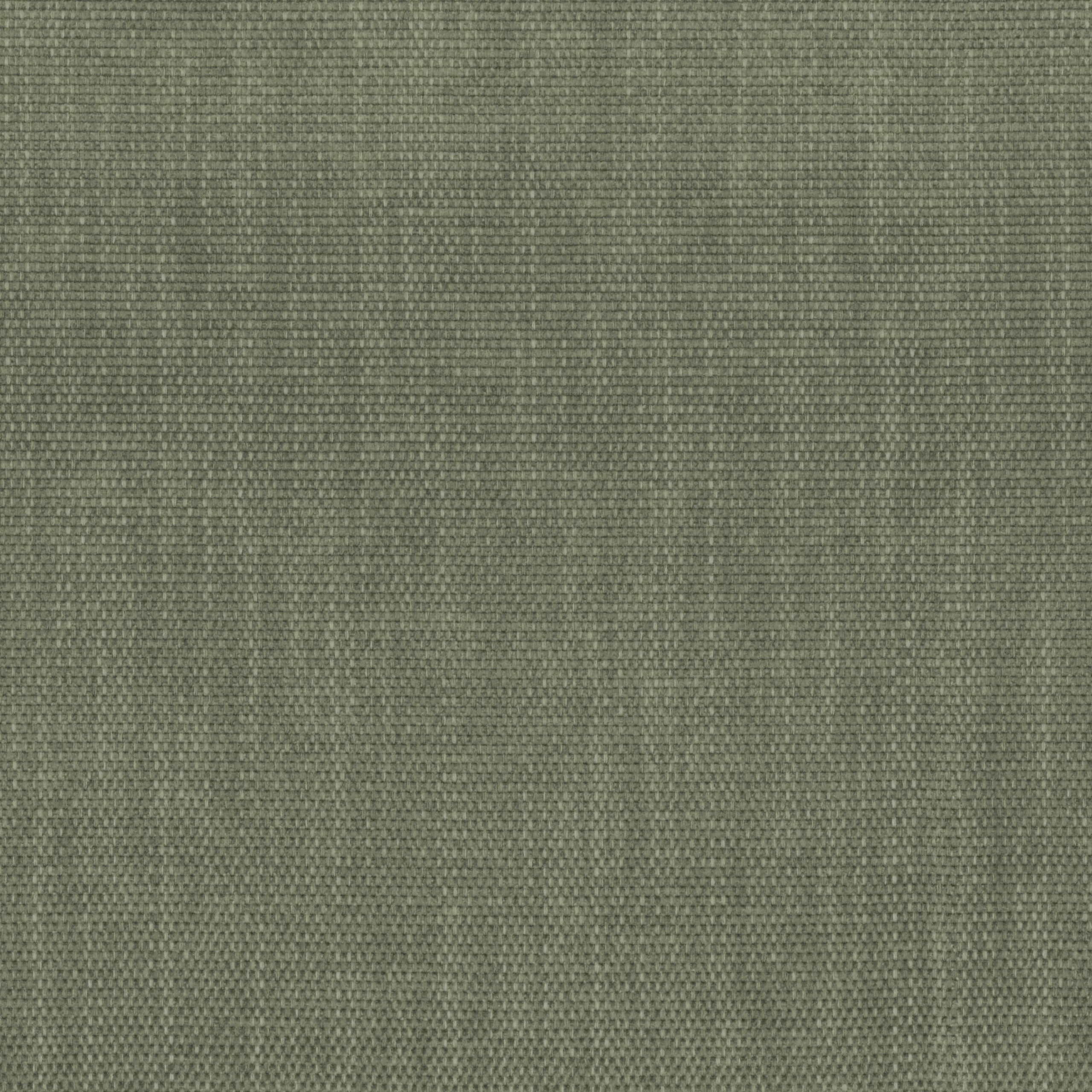 Dusty Olive 21 | Antorno