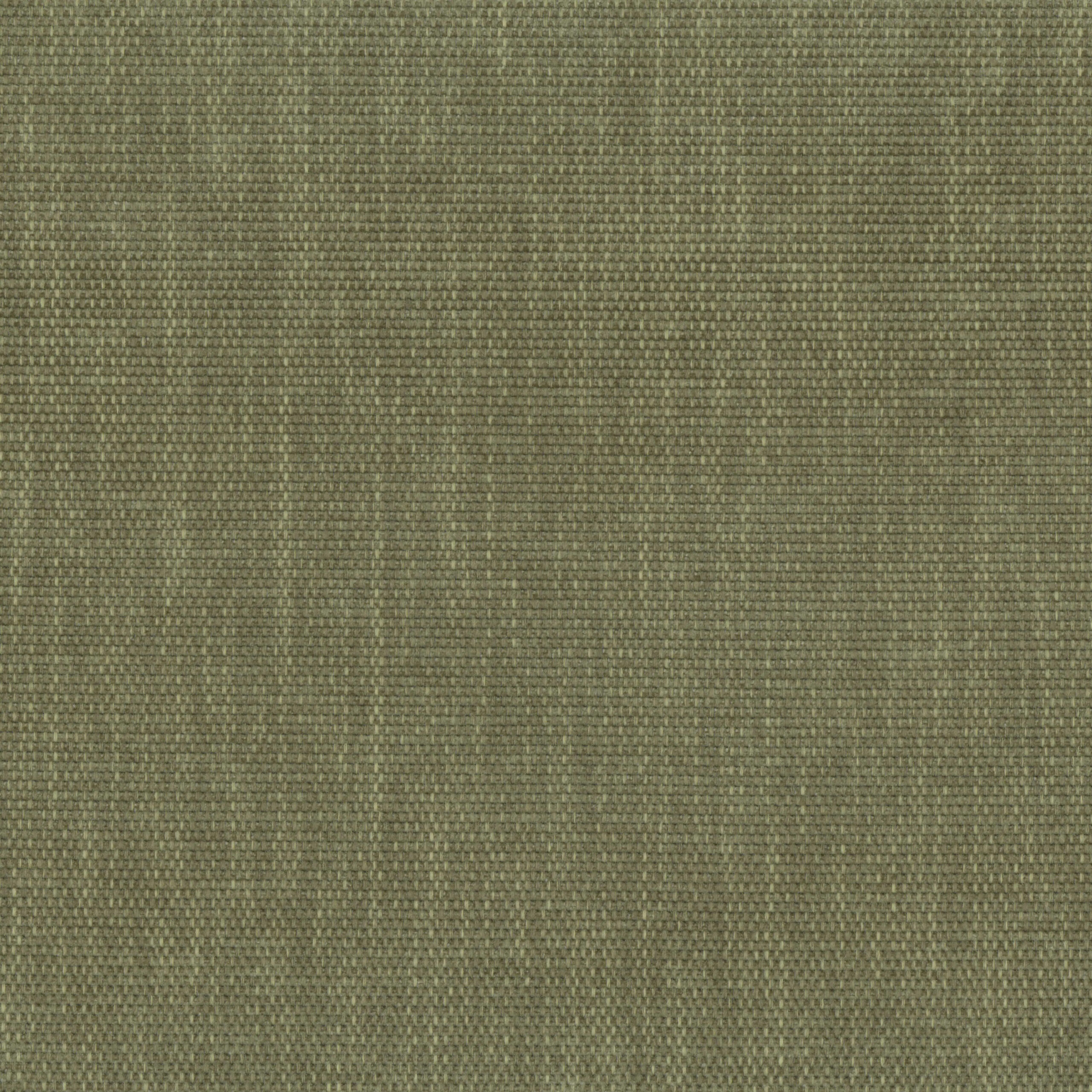 Winter Moss 22 | Antorno