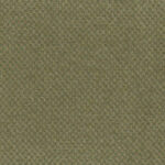 Dried Herb 51 | Bouclé