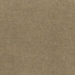 Fennel Seed 82 | Bouclé